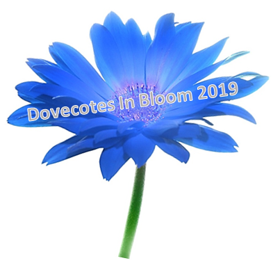 Dovecotes in Bloom Competition 2019